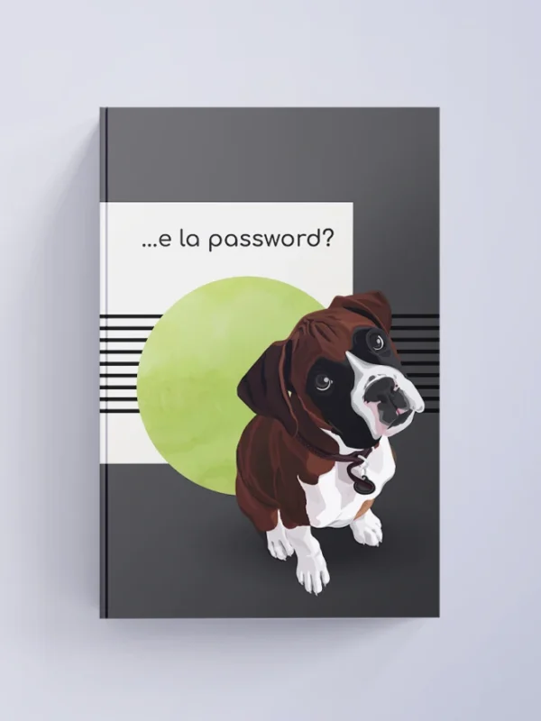 Boxer password